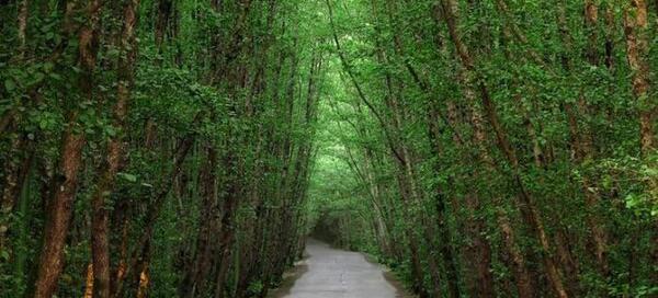 عکس منظره های زیبای ایران