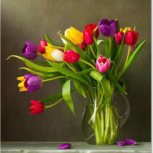 عکس منظره آبرنگی