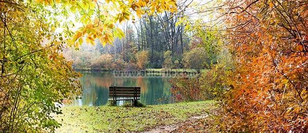 عکس منظره برای پس زمینه