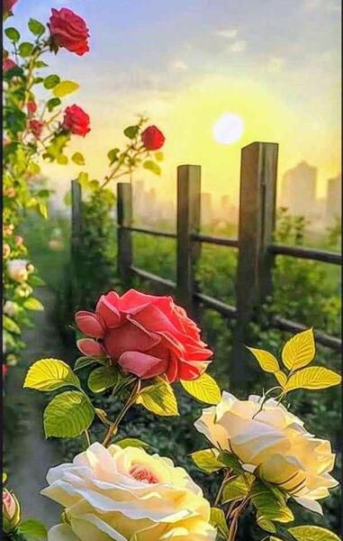 عکس منظره خوشگل برای پروفایل