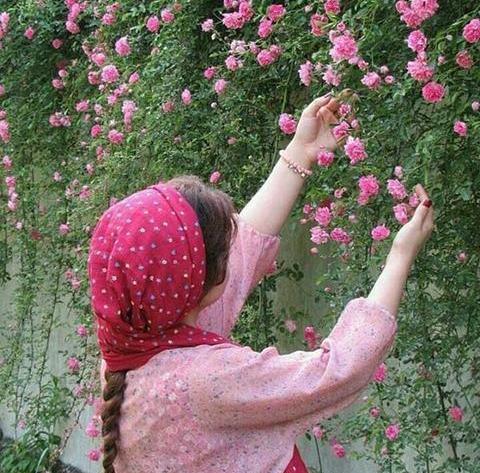 عکس منظره خوشگل برای پروفایل