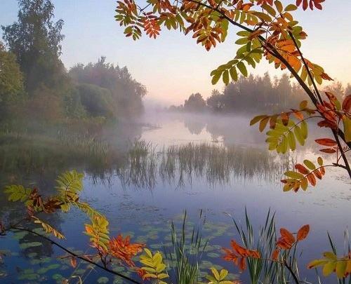 عکس منظره خوشگل پروفایل
