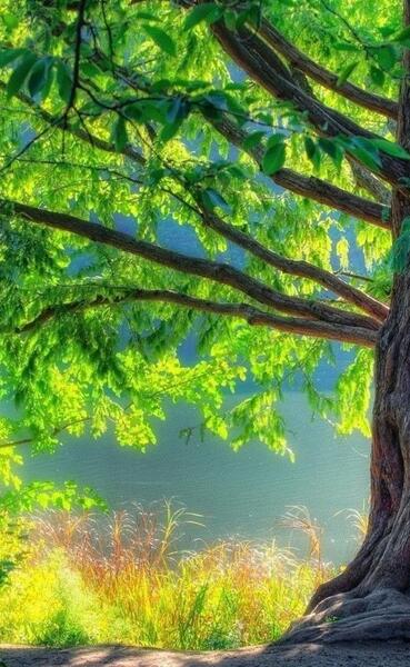 دانلود عکس منظره برای صفحه گوشی