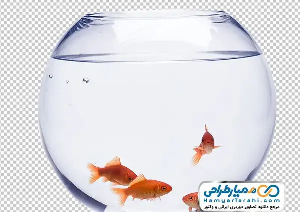 عکس ماهی قرمز