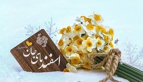 عکس ماه اسفند ماهی