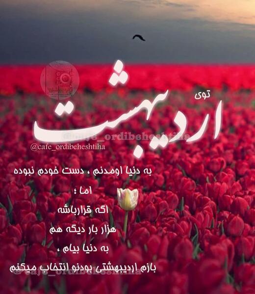 عکس ماه اردیبهشت برای پروفایل