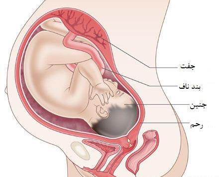 عکس واژن در ماه اخر بارداری