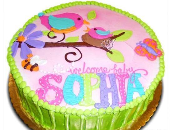 عکس کیک شب یلدای بچه گانه