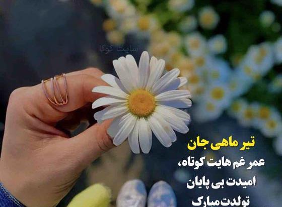 عکس ماه تیر ماهی