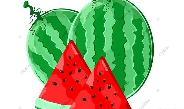 عکس هندوانه یلدای