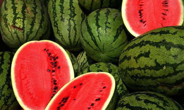 عکس شب یلدا هندوانه و انار