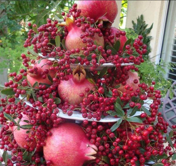 عکس یلدایی با انار