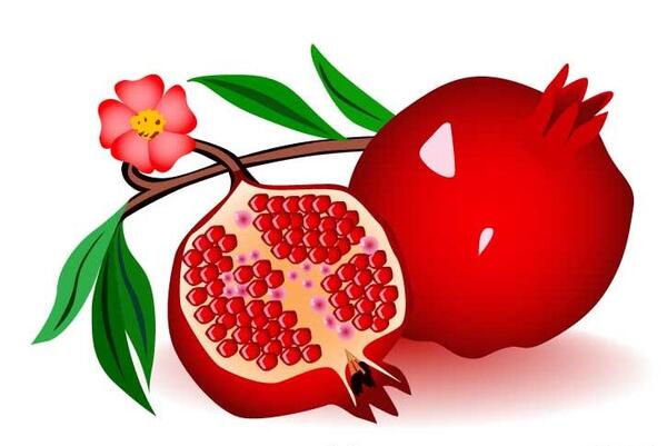 عکس انار شب یلدا کارتونی