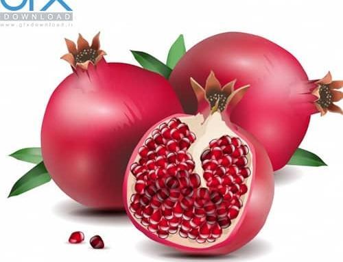 عکس انار شب یلدا کارتونی