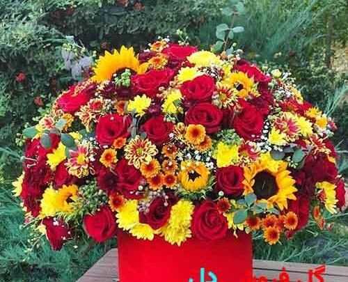 عکس گل برای شب یلدا