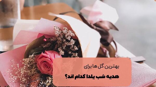 عکس گل برای شب یلدا