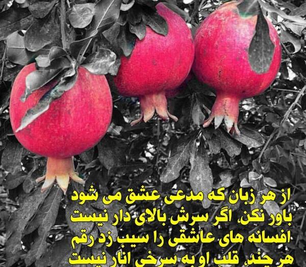 عکس های عاشقانه از شب یلدا