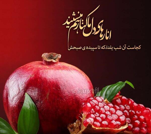 عکس از سفره های یلدا