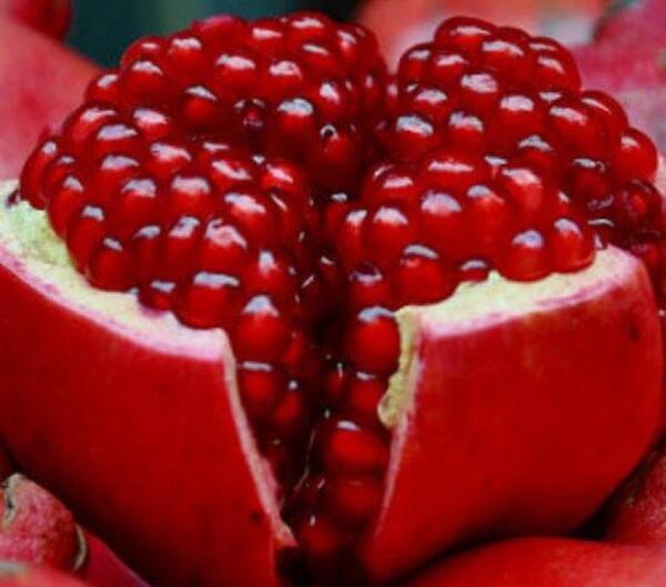 عکس انار شب یلدا برای پروفایل