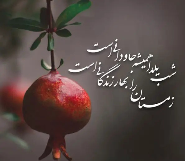عکس نوشته تبریک شب یلدا به معلم