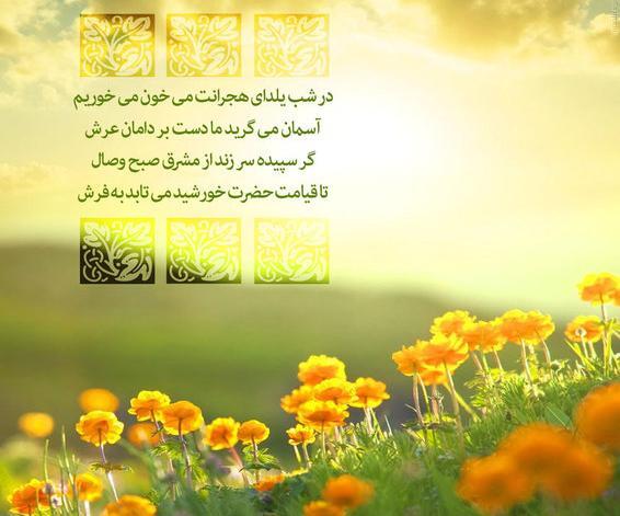عکس پروفایل یلدای امام زمانی
