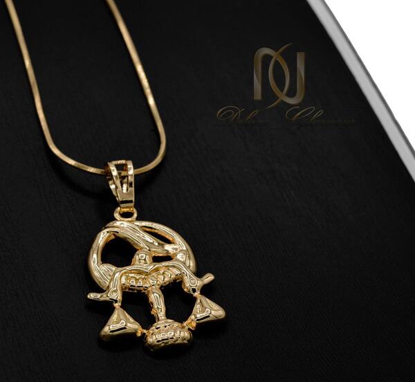 عکس نماد ماه تولد بهمن