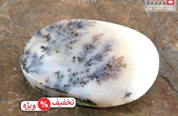 عکس حیوون ماه تولد بهمن