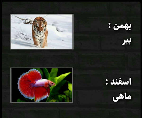 عکس حیوون ماه تولد بهمن