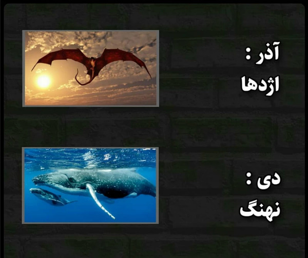 عکس حیوان ماه تولد اذر