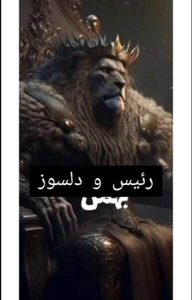عکس ماه حیوانات