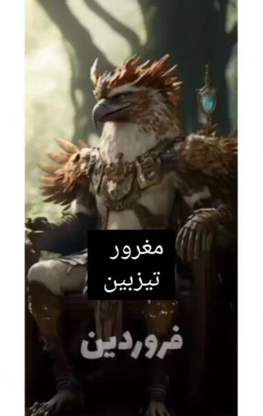 عکس ماه حیوانات