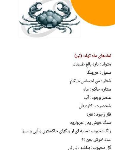عکس ماه حیوان دی