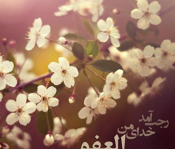 عکس حلول ماه رجب