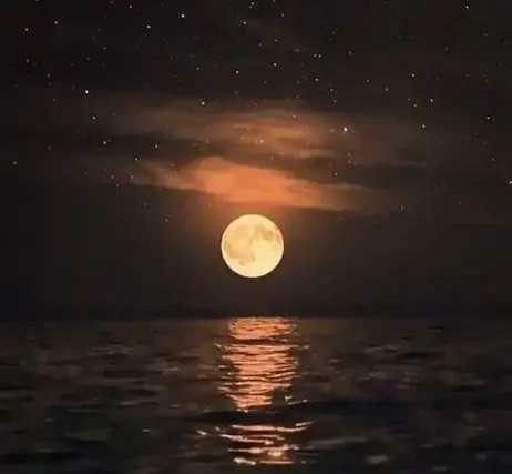 عکس ماه در شب با کیفیت