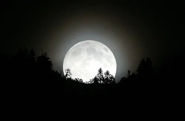 عکس ماه در آب برکه