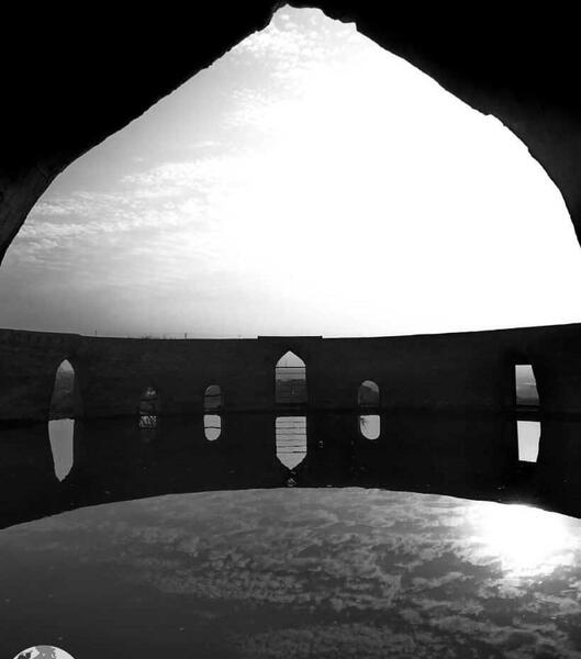 عکس ماه در آب برکه