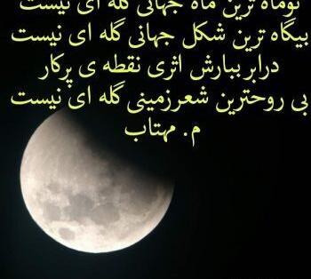 عکس ماه در آب برکه