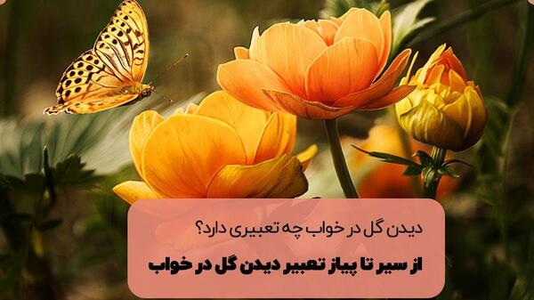 تعبیر خواب عکس ماه در آب