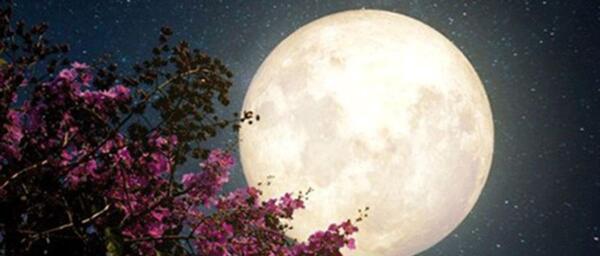 تعبیر خواب عکس ماه در آب