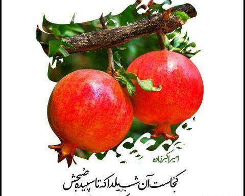 عکس شب یلدا برای معلم پیشاپیش مبارک