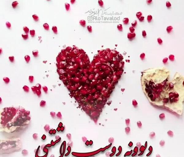 عکس شب یلدا مبارک دوست خوبم