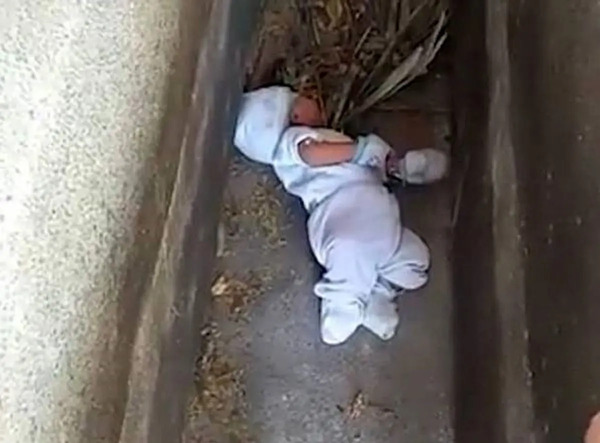 عکس مرده داخل قبر