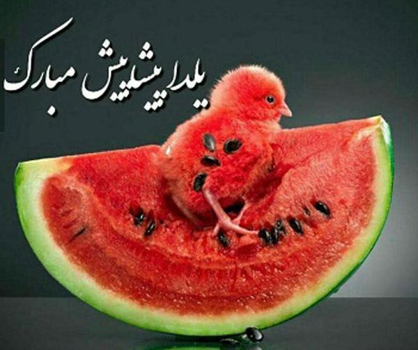 عکس برای پروفایل شب یلدا مبارک