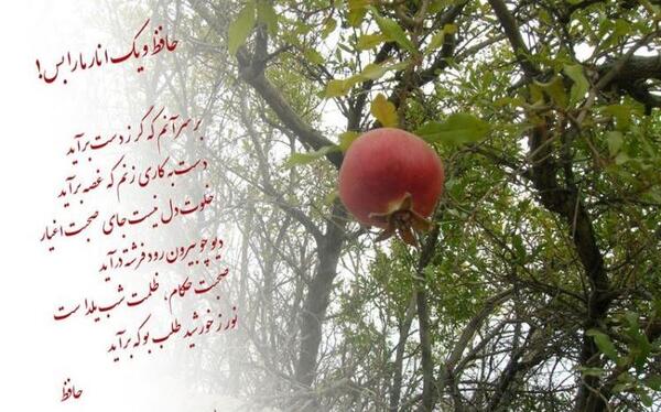 عکس یلدا مبارک ۱۴۰۲