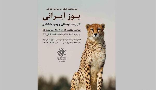 عکس یوزپلنگ نقاشی شده