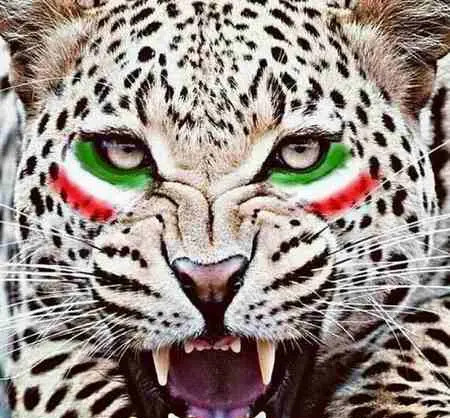 عکس یوزپلنگ برای پروفایل