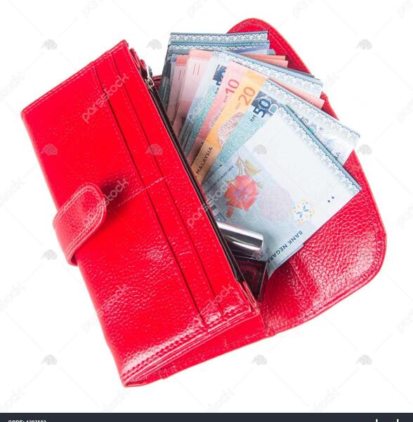 عکس کیف پول یورو