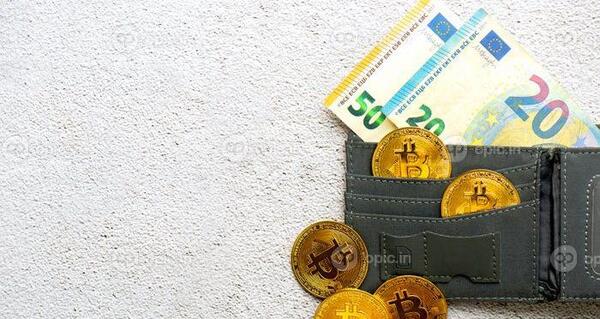 عکس کیف پول یورو