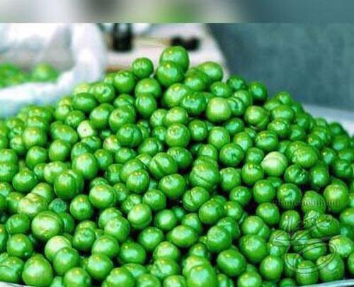 عکس پروفایل میوه های بهاری