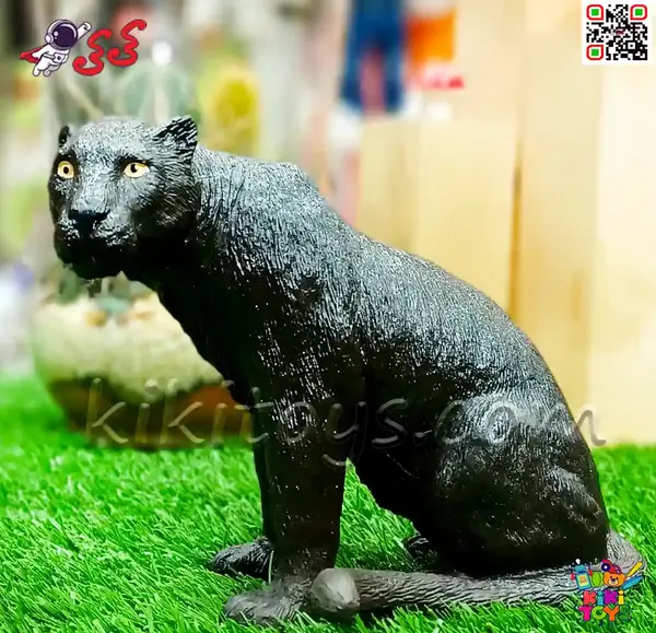 عکس ماشین جگوار سیاه